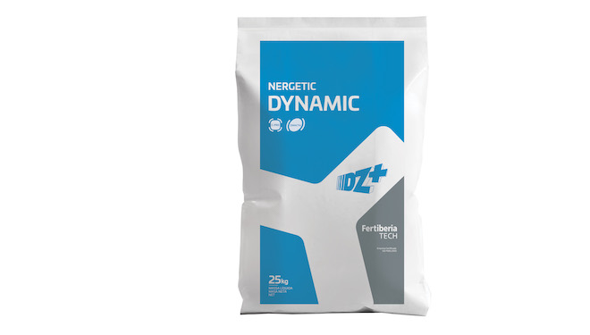 MockUp-Nergetic-Dynamic-DZ