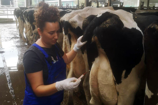 O protocolo de postparto inclúe a medición diaria de temperatura durante os primeiros 10 días