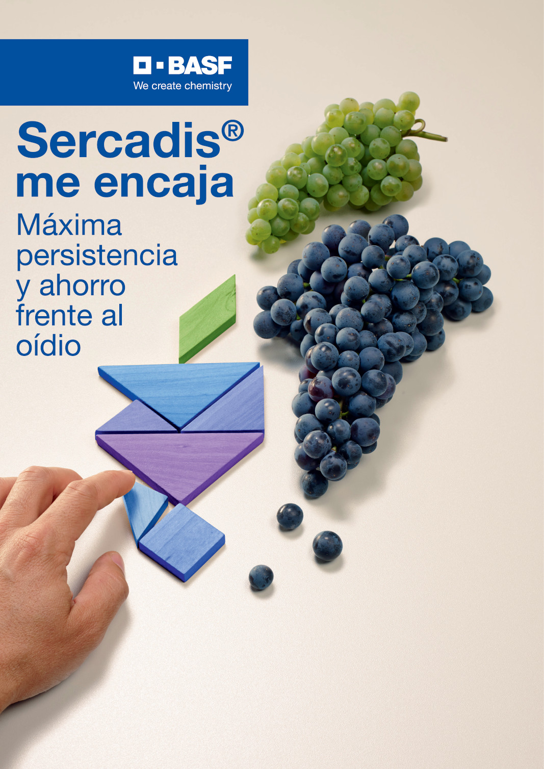 Sercadis_DINA4-VIÑA