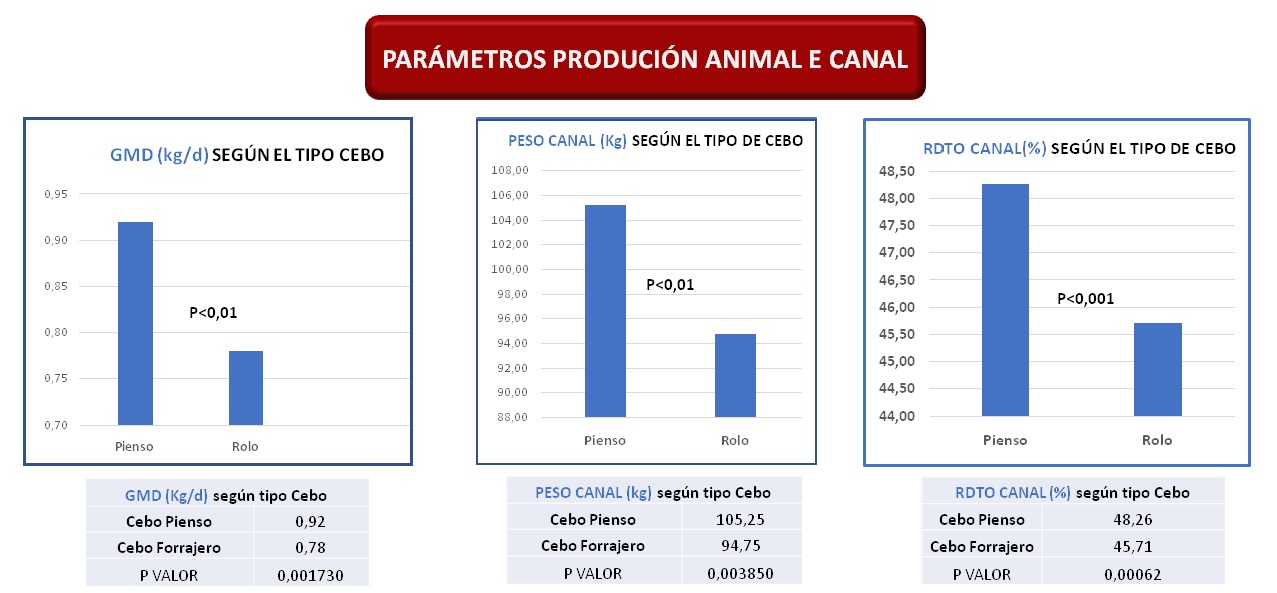 estudo cachenas CIAM2