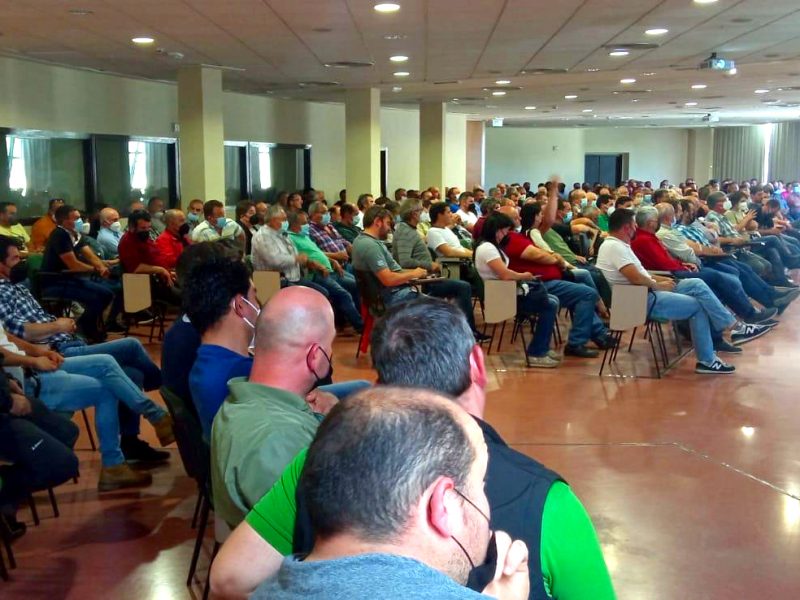 Un momento da reunión mantida este mércores co presidente de Ternera Gallega, á que asistiron 300 produtores