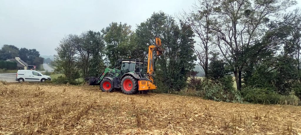 Labores de poda de árbores e sebes lindeiras nunha finca de millo