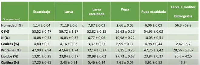 Caracterización elaborada polo grupo Biotecnia das fariñas do insecto T.