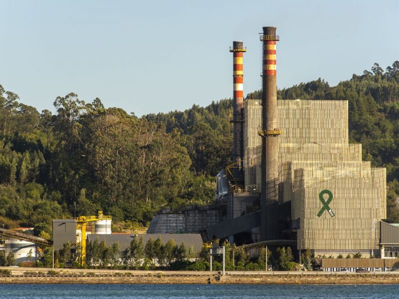 La planta de Ence en Pontevedra