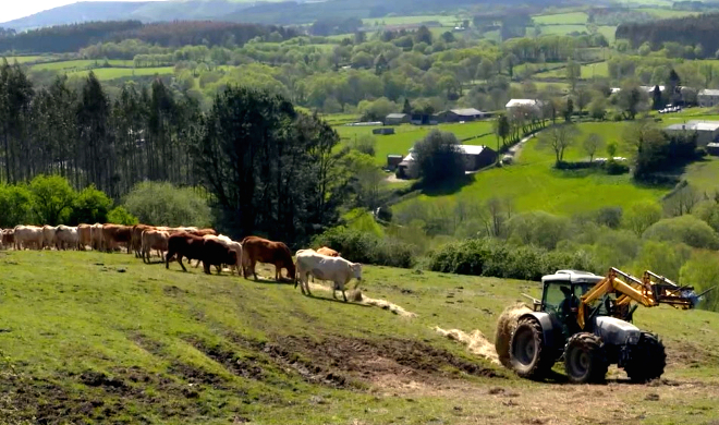 Están situados a 650 metros de altitude e no inverno teñen que suplementar a alimentación a base de pasto