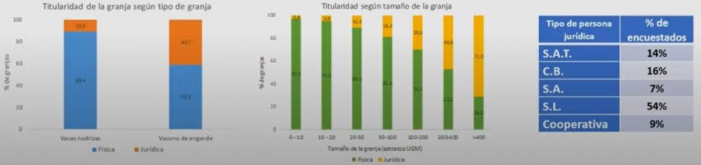 Informe Provacuno sector vacuno de carne en España1
