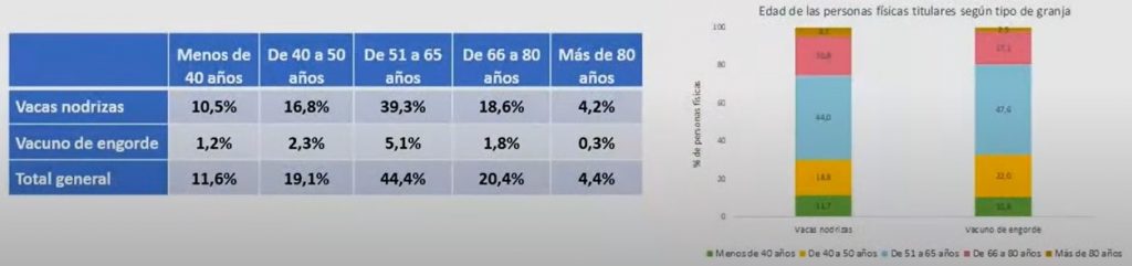 Informe Provacuno sector vacuno de carne en España2