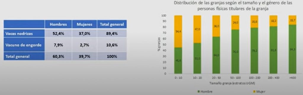 Informe Provacuno sector vacuno de carne en España3