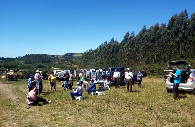 Comuneiros de Espiñarcao, o ano pasado durante as tarefas de saneamento do gando