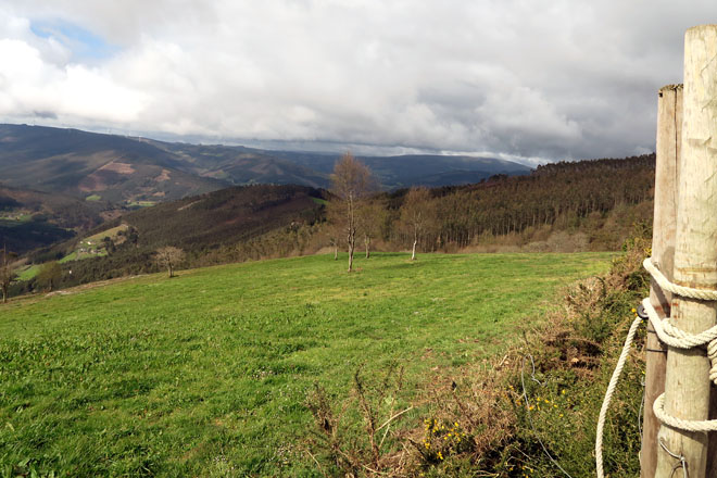 Pradeiras recuperadas no monte