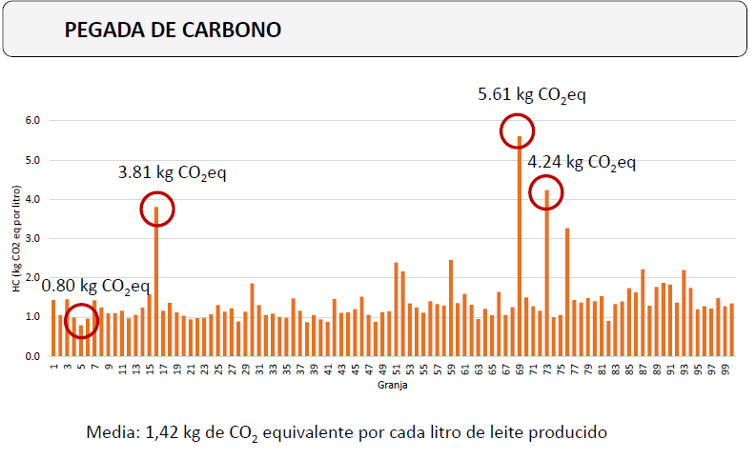 AGACA PEGADA CARBONO 1