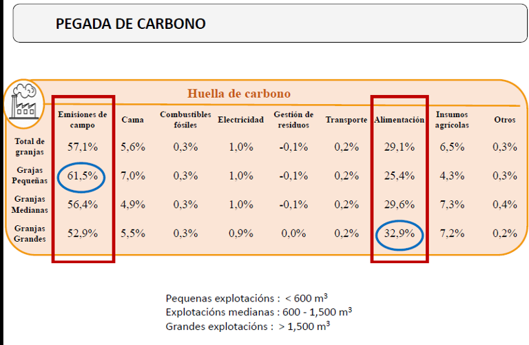 AGACA PEGADA CARBONO 3