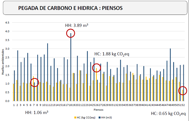 AGACA PEGADA HIDRICA PENSOS