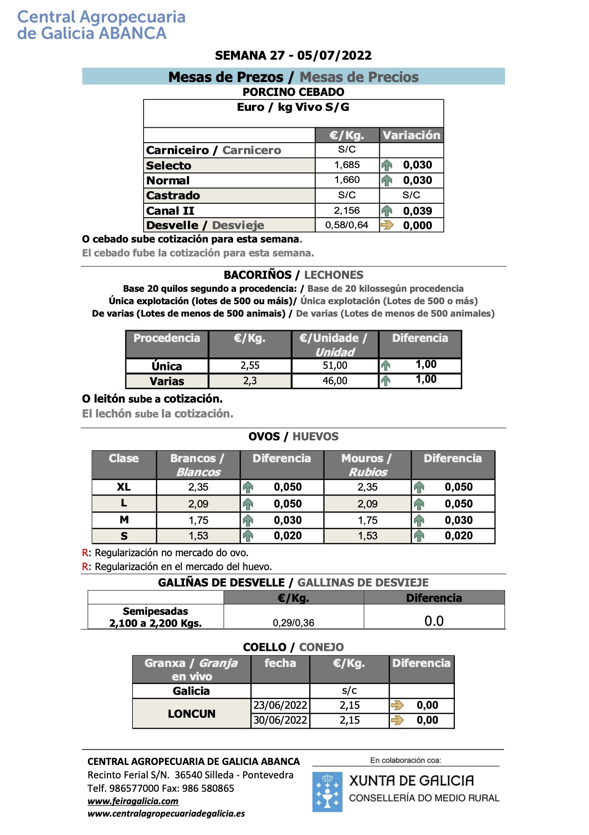 Lonxa porcino 05_07_2022