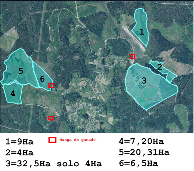 Mapa do monte comunal de Pinzás cos pastizais recuperados