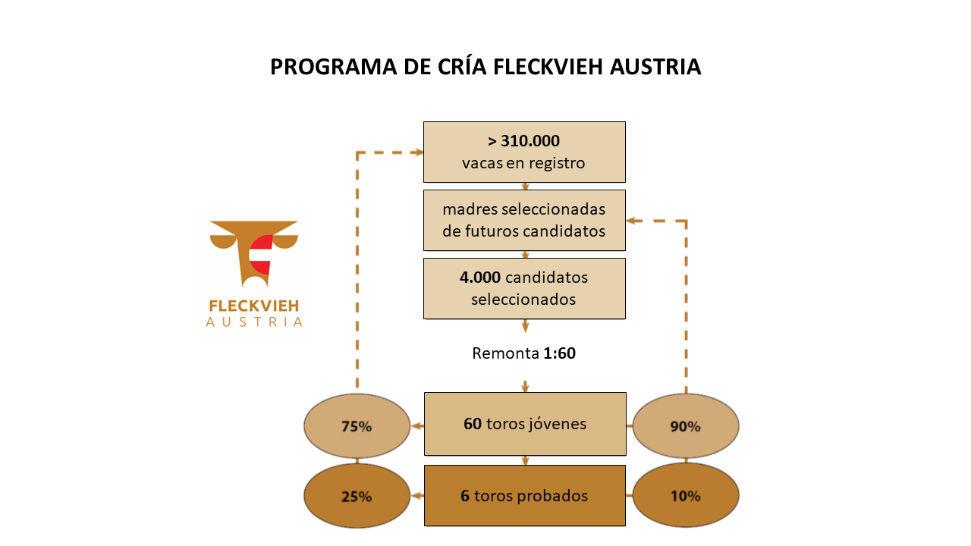 GENETIC AUSTTRIA 9 diagrama