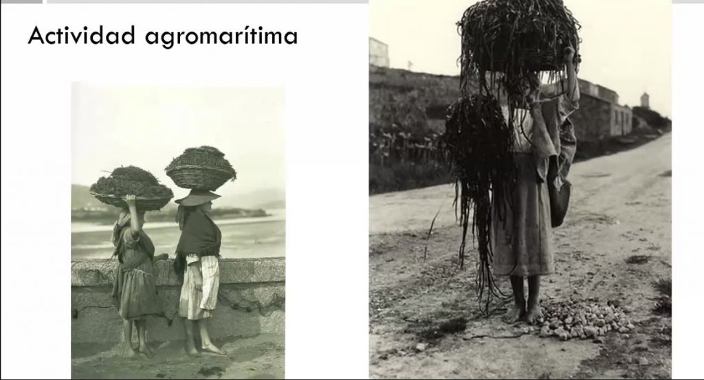 Imaxe de actividade agronómica e da recolección de algas