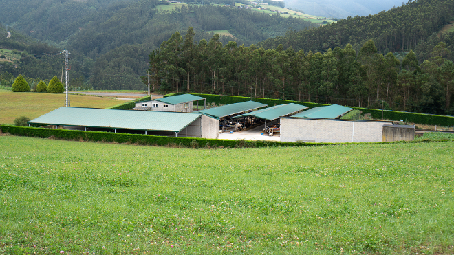Vista das instalacións, construídas hai 20 anos
