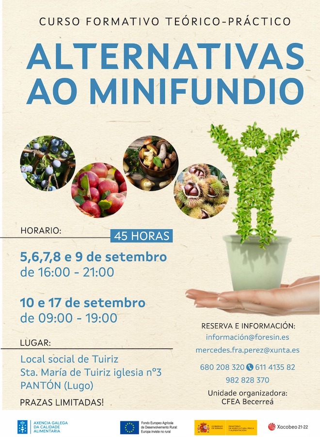 cartaz