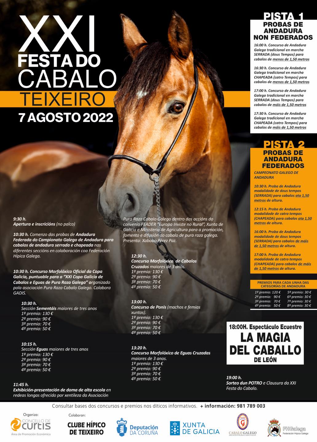 feira cabalo curtis 2022