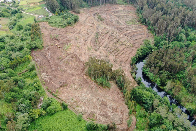 Finca A Picha, onde comezaron a plantación de variedades autóctonas como branca lexítima e roibal