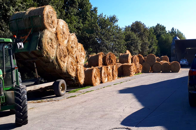 Fan rolos de herba seca e pacas para silo co segundo corte