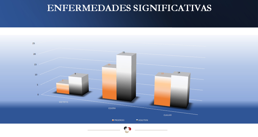datos Villameitide7