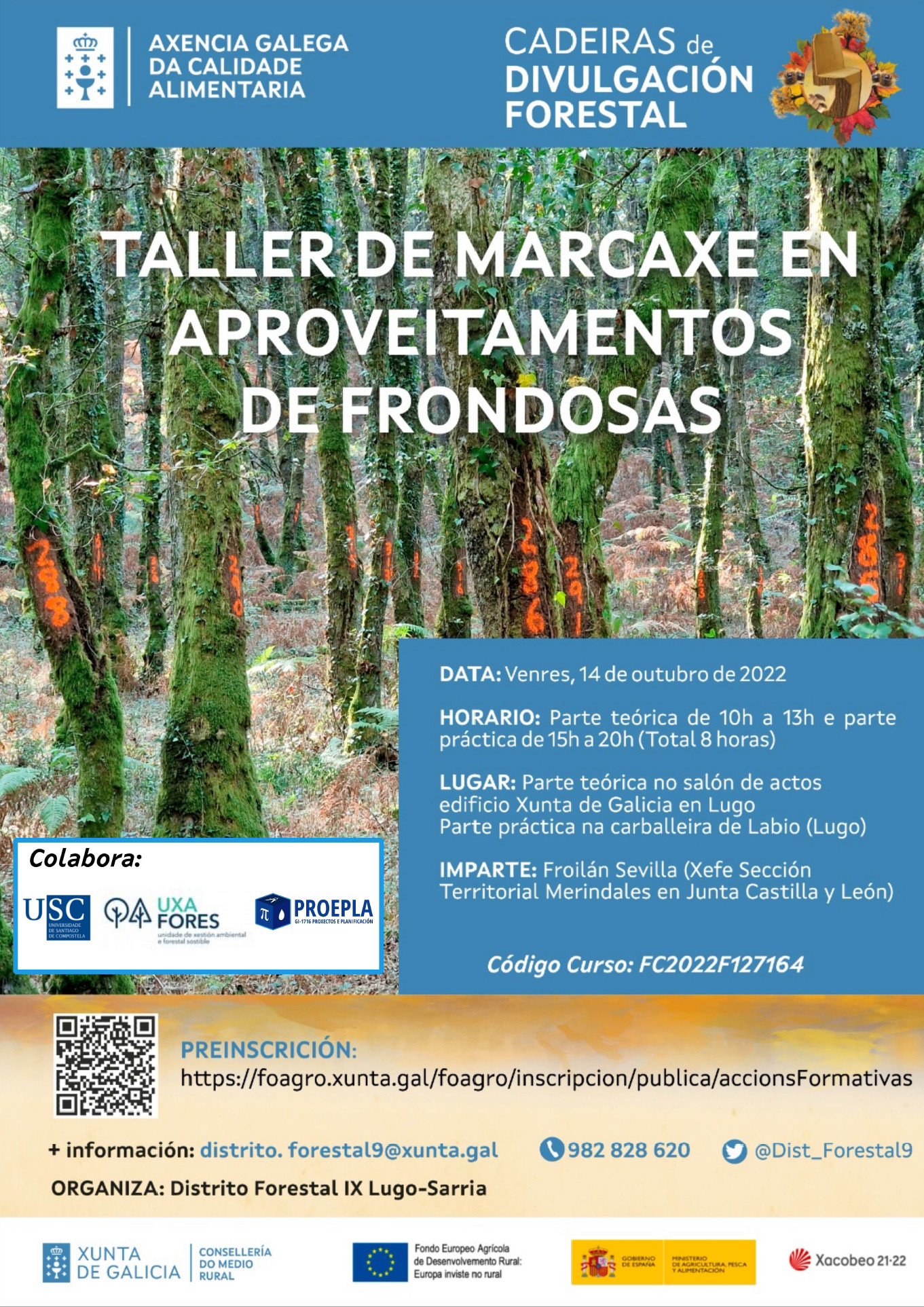 taller lugo marcaxe frondosas