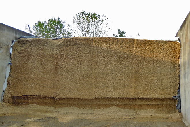 FINCA CABREIRA (Irixoa) silo