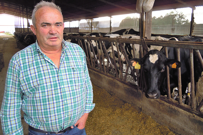 Ángel, xunto ás vacas en produción que subministran a materia prima á queixería