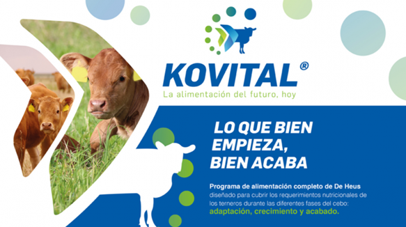 Imagen1