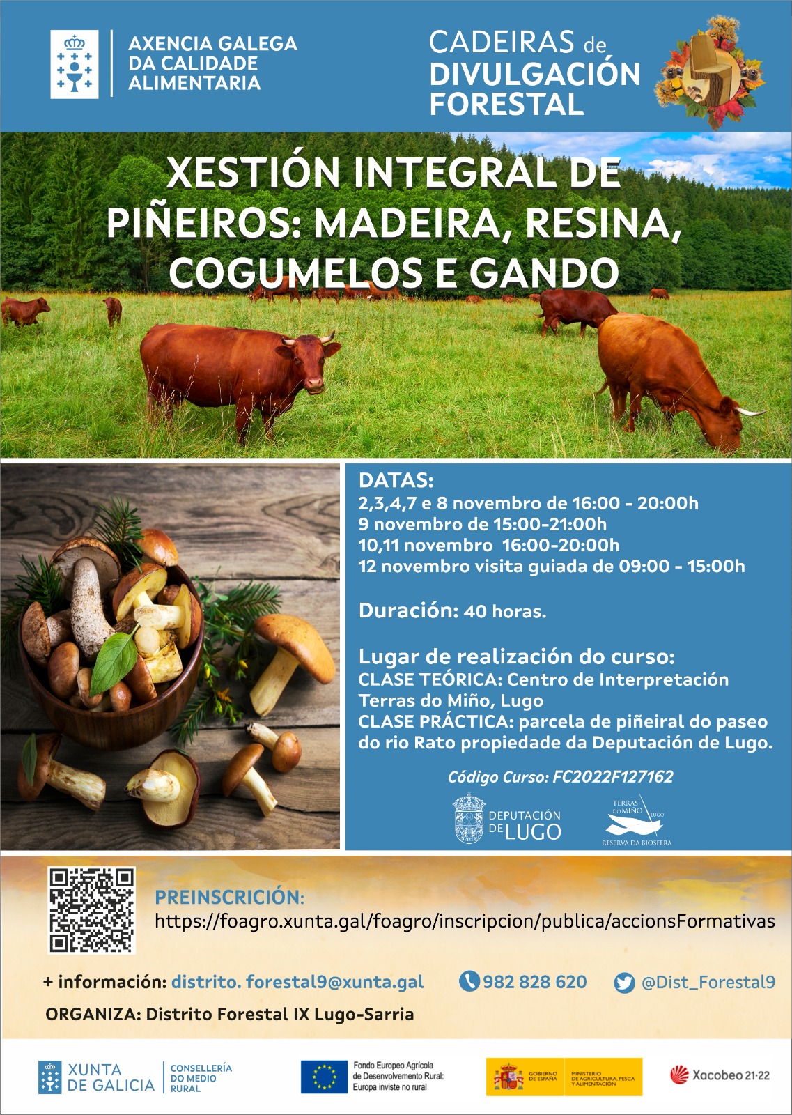 cartel curso cogumelos piñeiros foresin