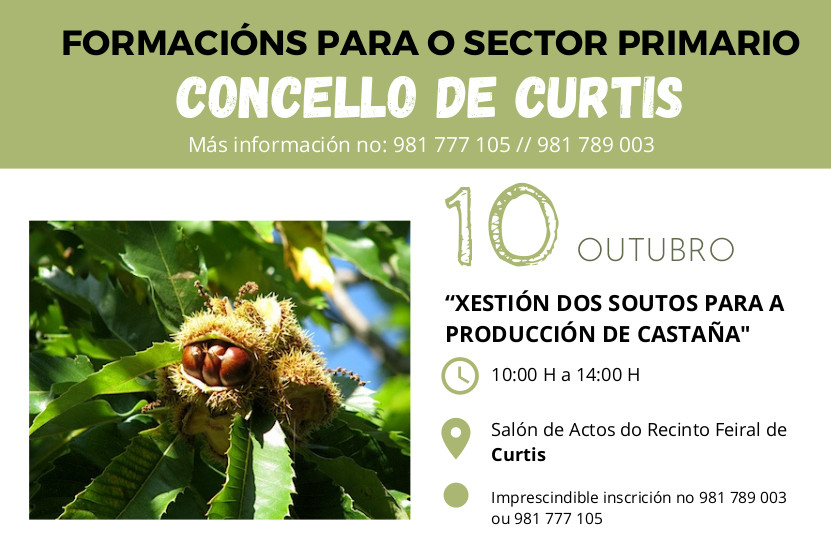 curtis sector primario castiñeiros curso 22
