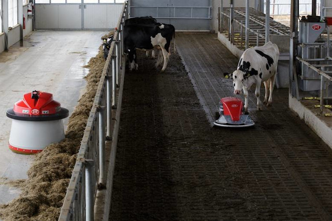 lely robot periferico arrimador 1