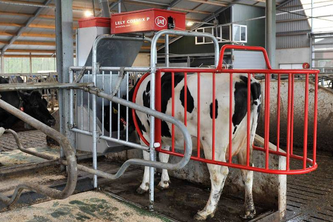 Agriexpo