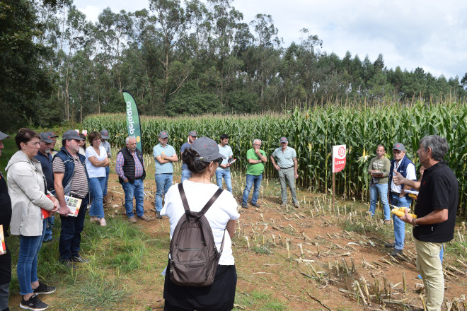 millo delagro campo ensaio Tordoia 22 LG 3
