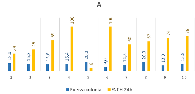 varroa11