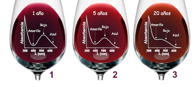 Evolución do viño tinto ao longo do tempo