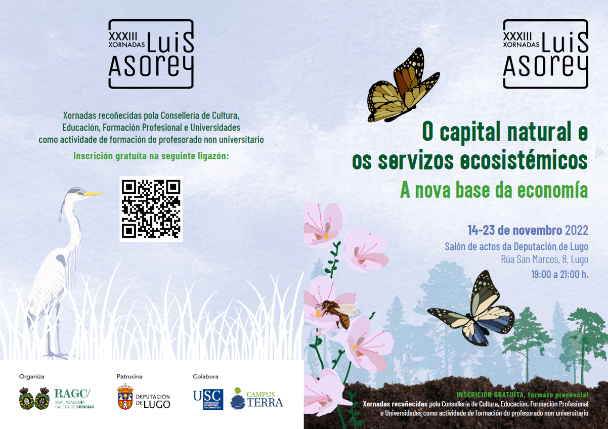 XORNADAS LUIS ASOREI USC 1