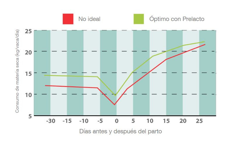 de heus gráfico_1