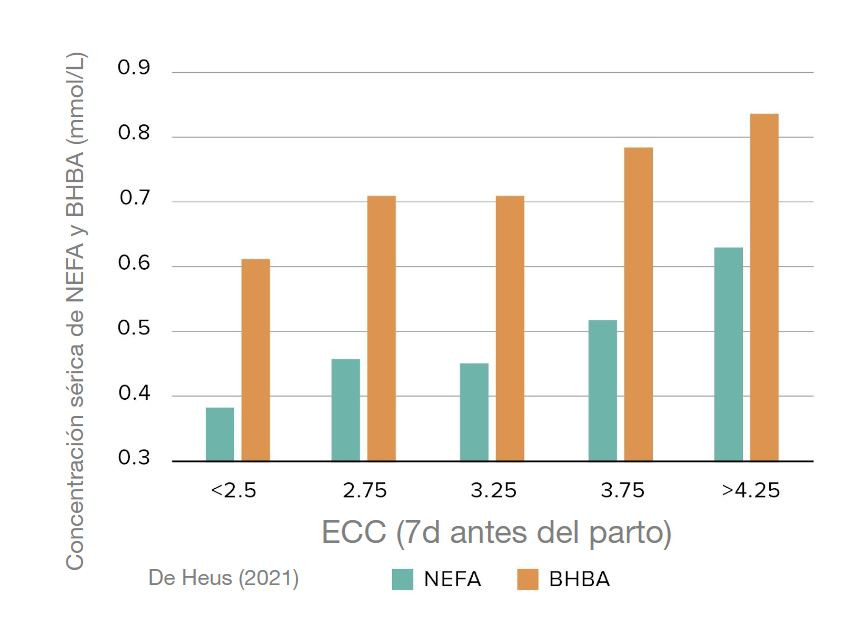de heus gráfico_2