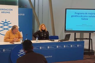 A investigadora Raquel Díaz, co CIF Lourizán, presentou o programa de mellora xenética do piñeiro radiata.