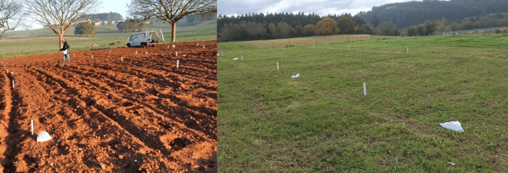 Aplicación de roca fosfórica nos campos de ensaio do CIAM. Fonte: CIAM
