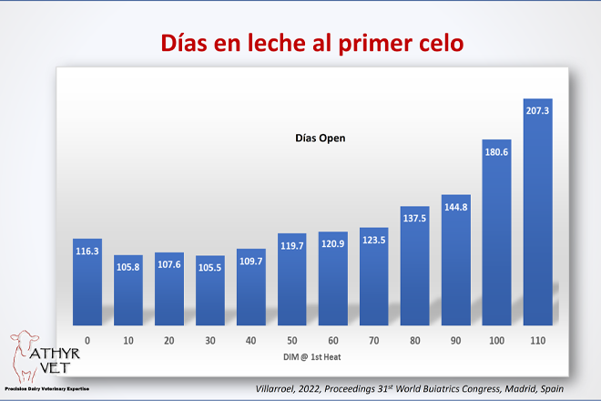 Imagen dos días de leche al primero celo. Fuente: Aurora Villarroel