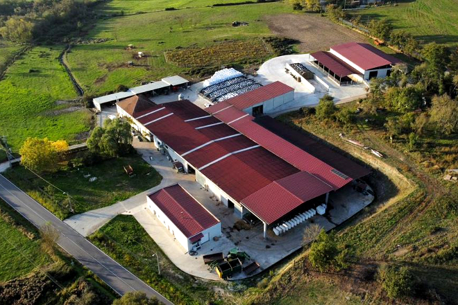 PULUAN SC (Monforte) instalacions