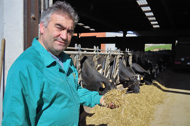 O carro da cooperativa Lemos acode a diario a facer a ración para as vacas en produción