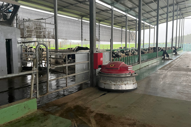LELY GANDERIA LODOS ROBOT JUNO ARRIMADOR