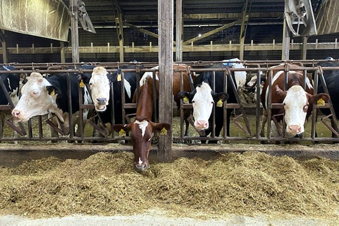 MILK UNLIMITED (Iowa) establo procross