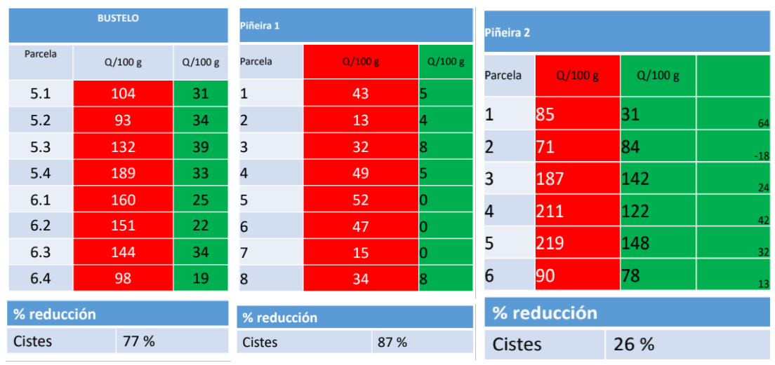 Resultados do emprego de tumba cabalos procurando a redución dos nematodos. En vermello a presenza de quistes antes do cultivo. En verde o reconto de quistes tras cultivar esta planta.