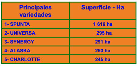 Principales variedades producidas en la Bretaña Francesa.